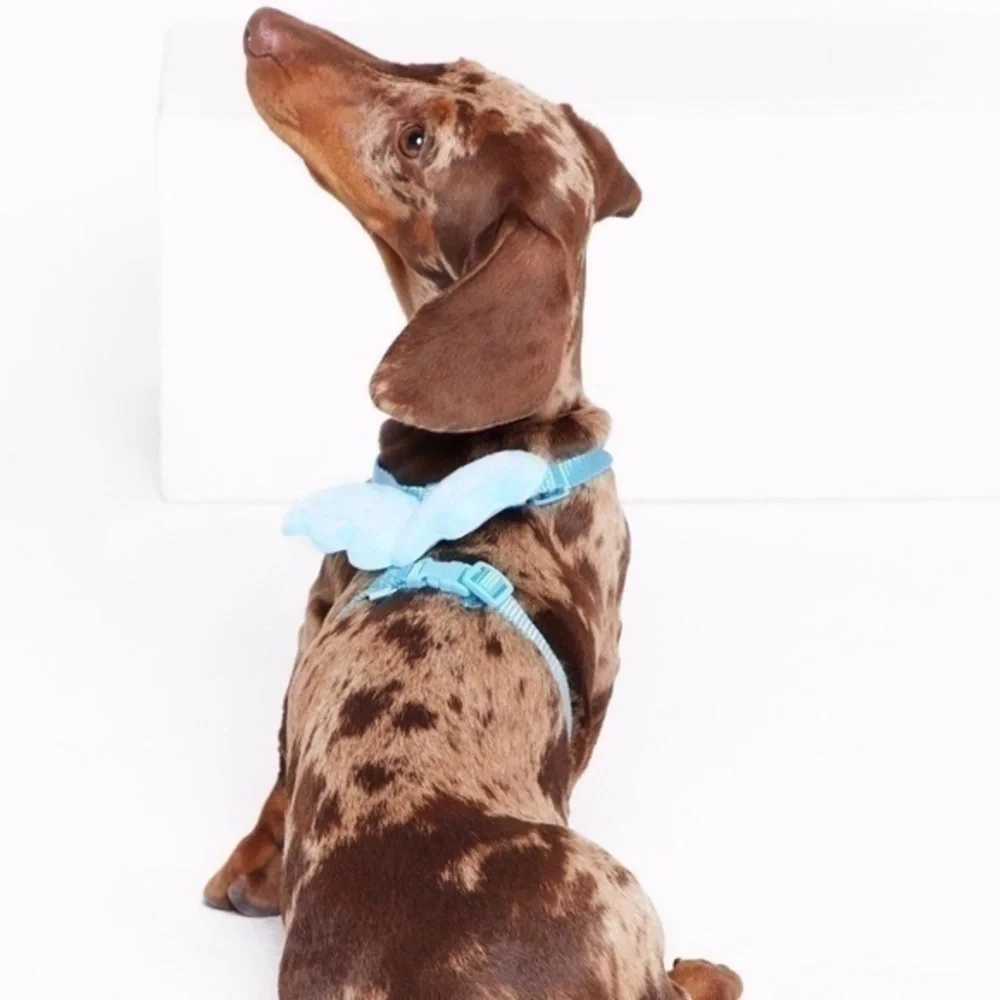 Blue Angel Winged Dog Harness, One Size